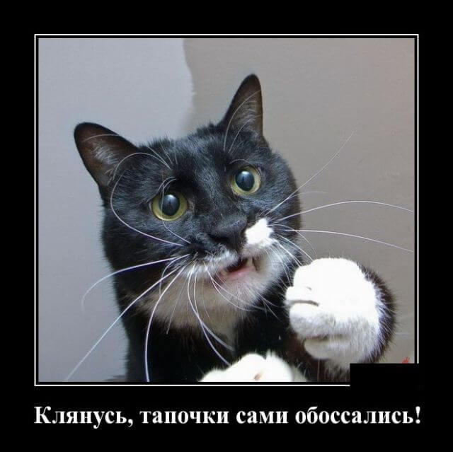 Прикольные демотиваторы (20 штук)