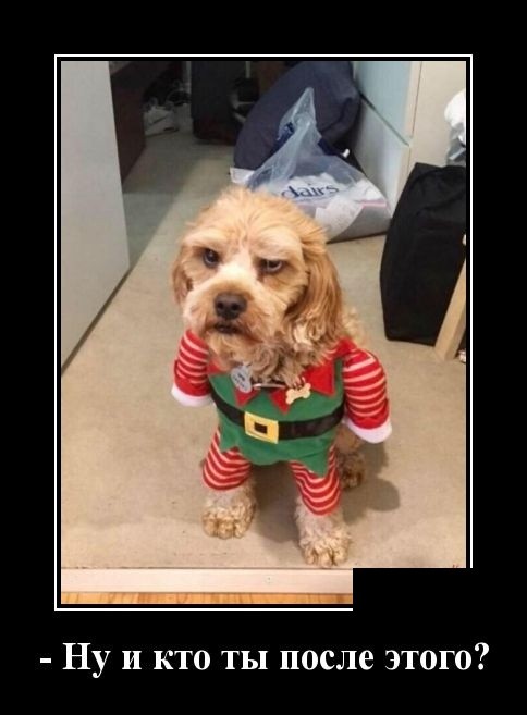 Свежие демотиваторы на праздники Свежие демотиваторы на праздники