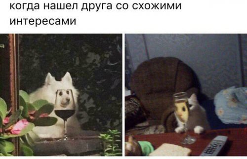Картинки для поднятия настроения с надписями Картинки для поднятия настроения с надписями
