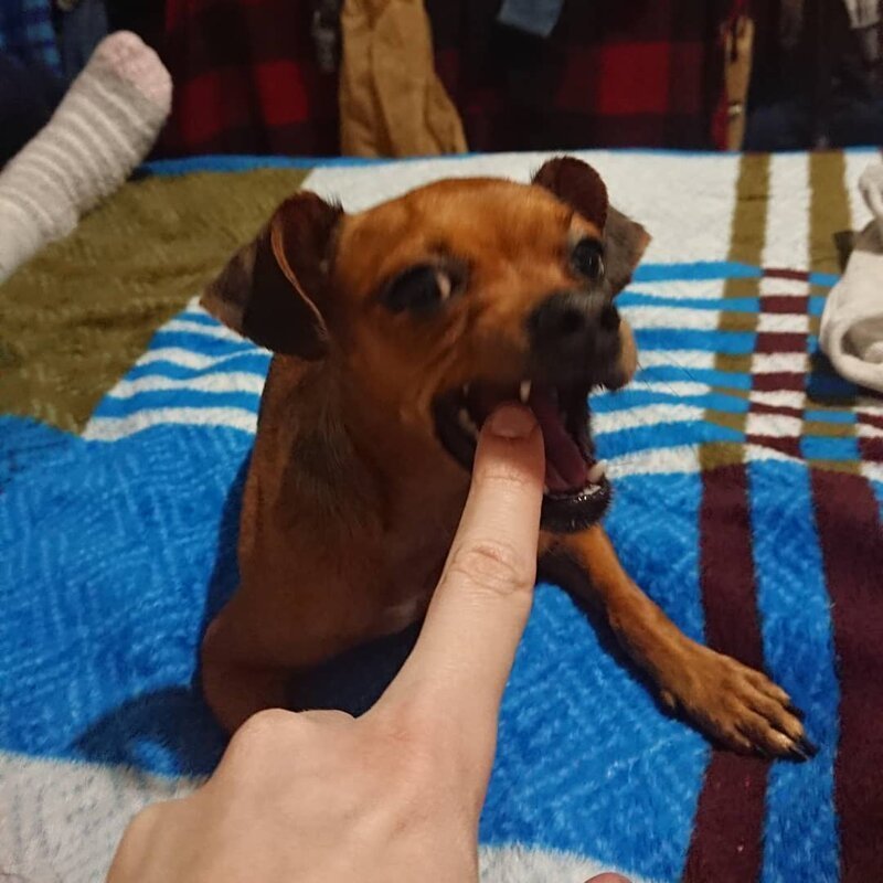 20 забавных кадров из серии "За секунду до", сделанных за мгновение до неизбежного (21 фото) 20 забавных кадров из серии "За секунду до", сделанных за мгновение до неизбежного (21 фото)