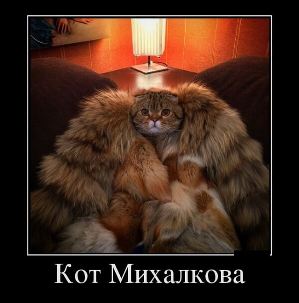 Самые прикольные демки 2019 года (30 демотиваторов)