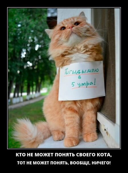 Классные демотиваторы мая (30 демок)