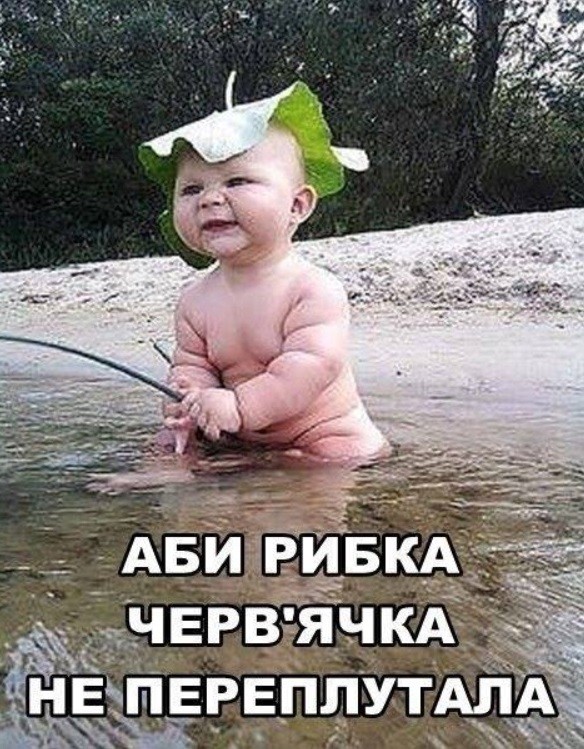 Прикольные картинки