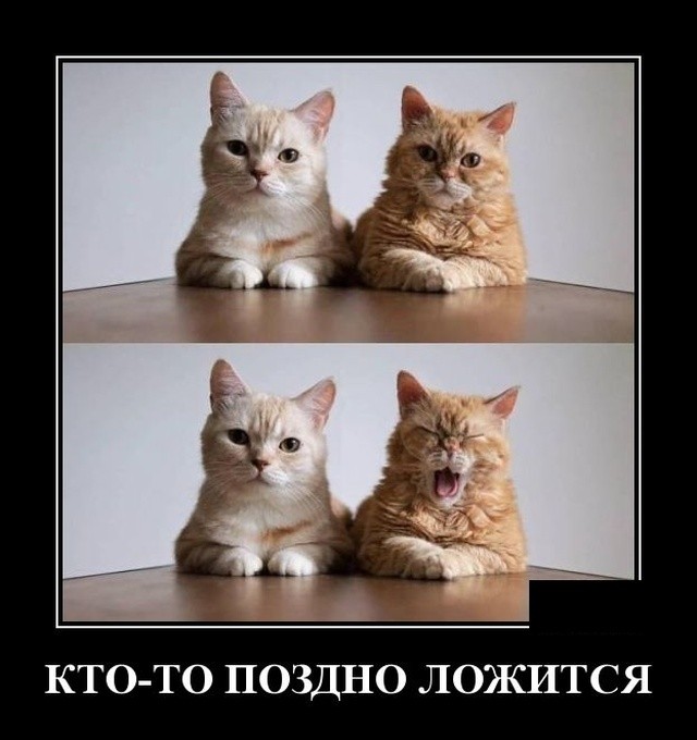Демотиваторы мая 2019 года Демотиваторы мая 2019 года