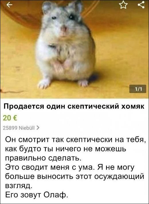 Смешные комментарии из социальных сетей (20 картинок)