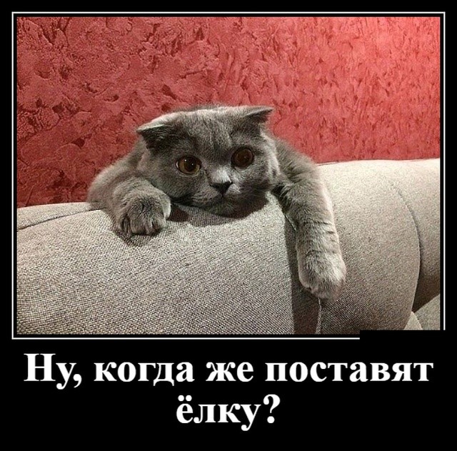 Свежие демотиваторы на праздники Свежие демотиваторы на праздники