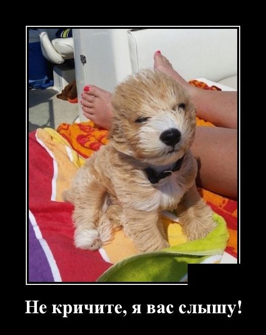 Новые демотиваторы 11 мая 2019 (22 фото)