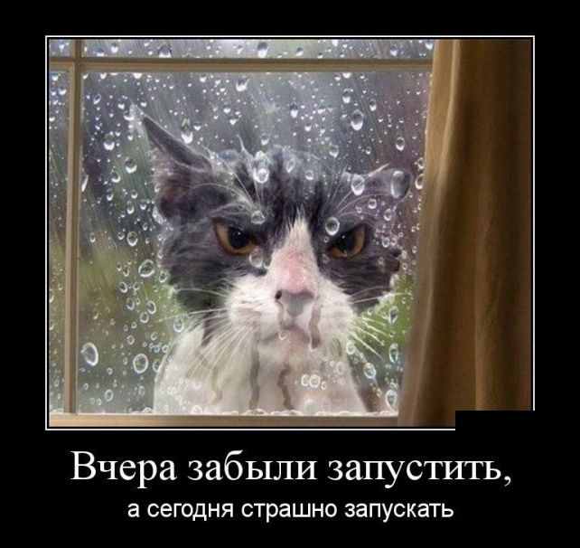 Новые демотиваторы 11 мая 2019 (22 фото)