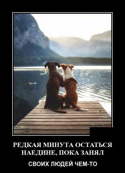 Новые смешные демотиваторы (30 демок)