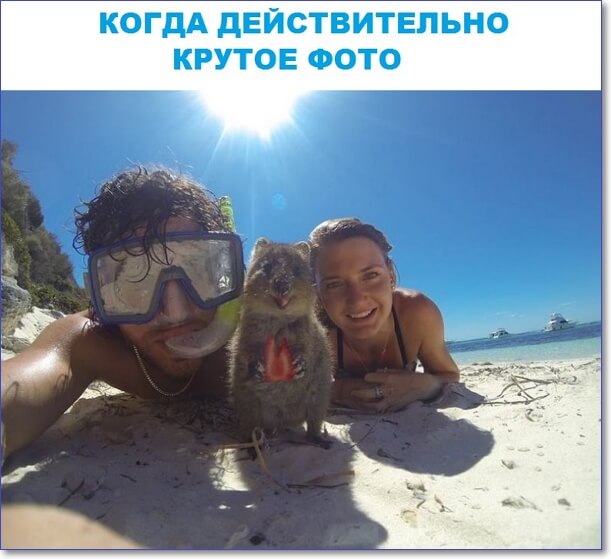 Смешные фото