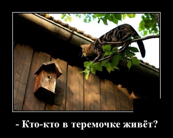 Новые смешные демотиваторы (30 демок)