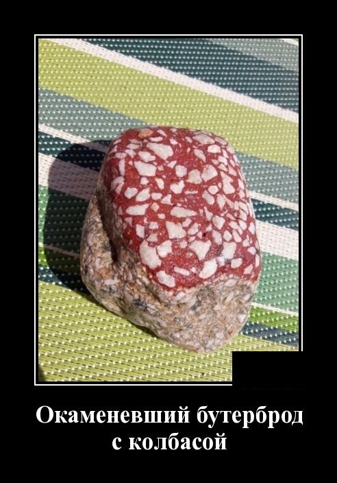 Свежие демотиваторы мая 2019 (30 демок)