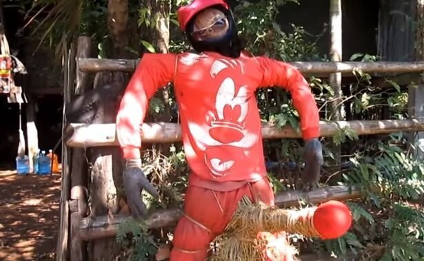 В тайской деревне для отпугивания злого призрака женщины используют чучела с огромными мужскими достоинствами (3 фото)