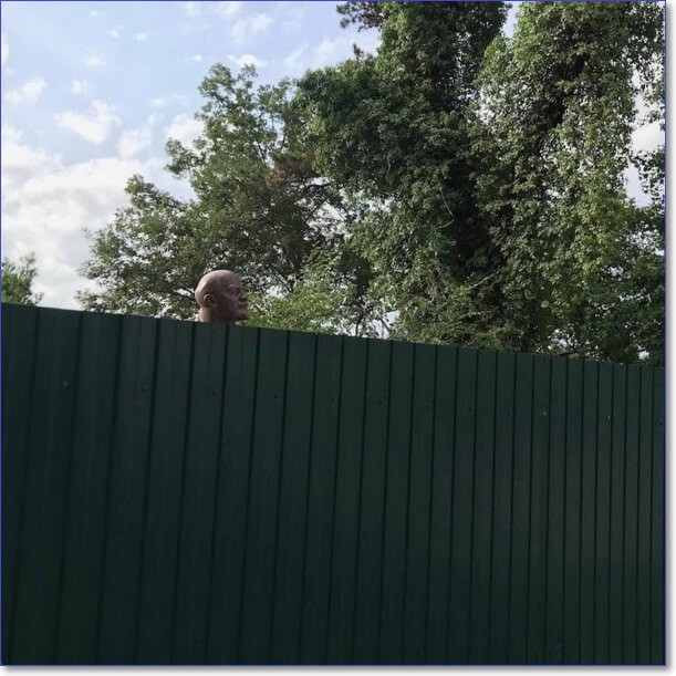 Смешные фото