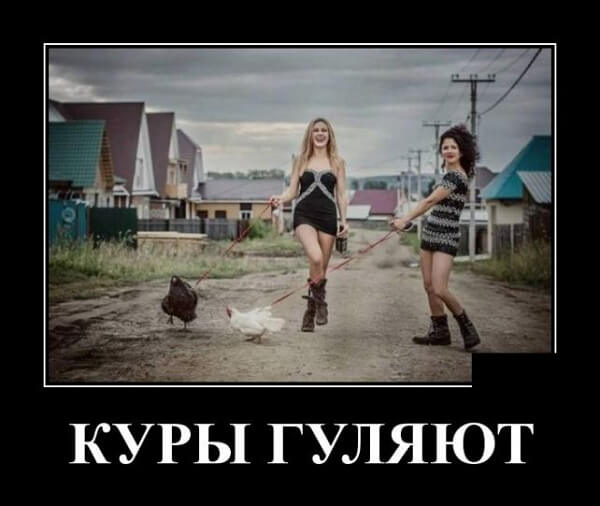 Новые смешные демотиваторы (30 демок)