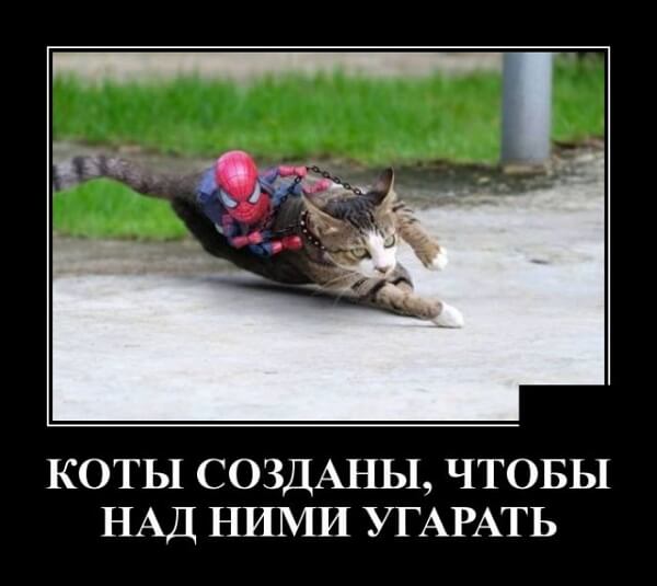 Самые прикольные демки 2019 года (30 демотиваторов)