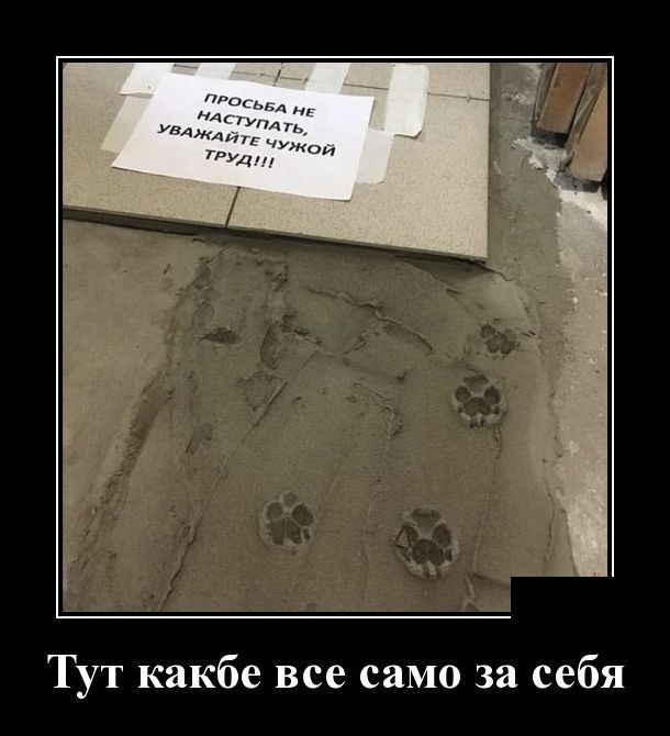 Новые демотиваторы 11 мая 2019 (22 фото)