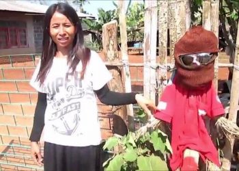 В тайской деревне для отпугивания злого призрака женщины используют чучела с огромными мужскими достоинствами (3 фото)