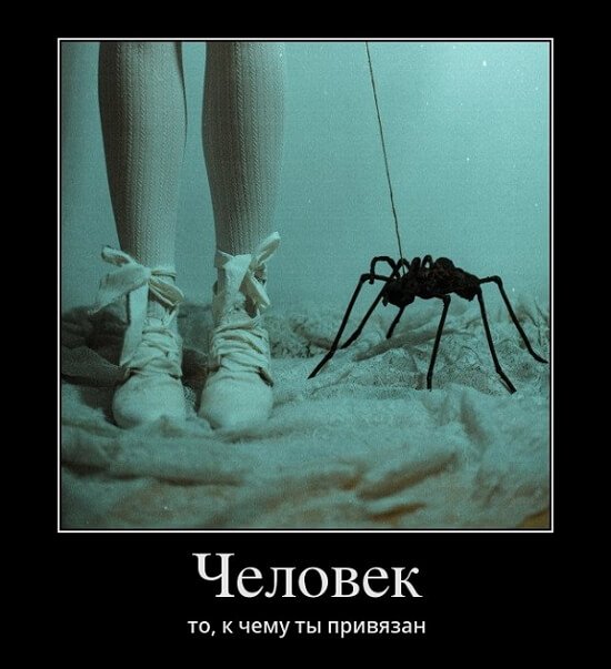 Классные демотиваторы мая (30 демок)