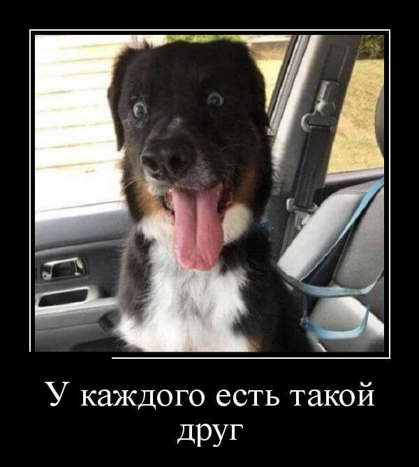 Прикольные демотиваторы (20 штук)