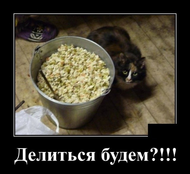 Свежие демотиваторы на праздники Свежие демотиваторы на праздники