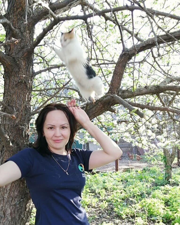 20 забавных кадров из серии "За секунду до", сделанных за мгновение до неизбежного (21 фото) 20 забавных кадров из серии "За секунду до", сделанных за мгновение до неизбежного (21 фото)