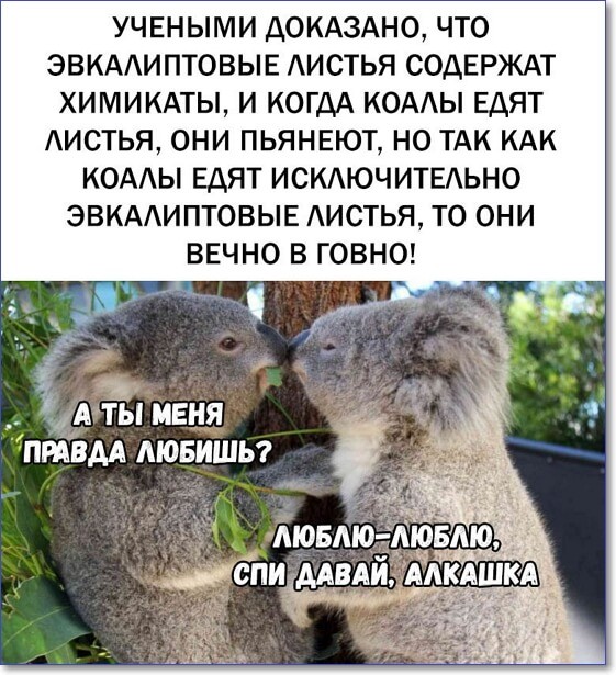 Смешные фото