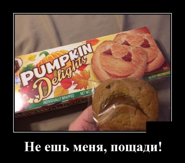 Свежие демотиваторы мая 2019 (30 демок)