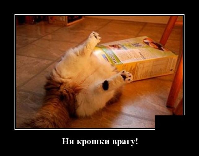 Новые демотиваторы 11 мая 2019 (22 фото)