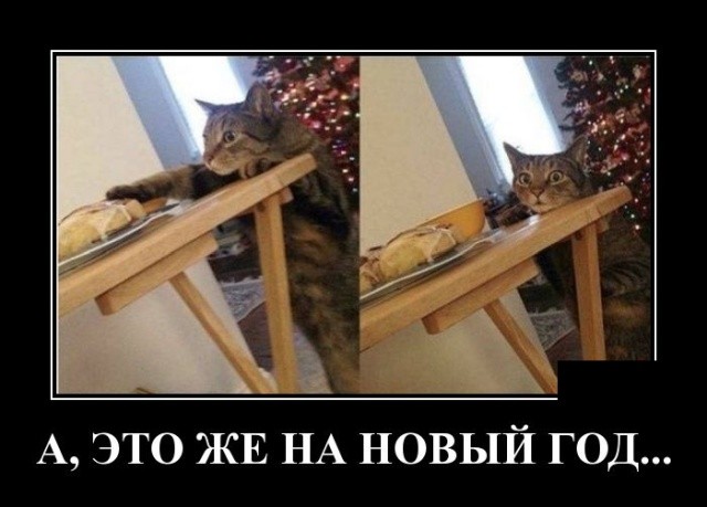 Свежие демотиваторы на праздники Свежие демотиваторы на праздники
