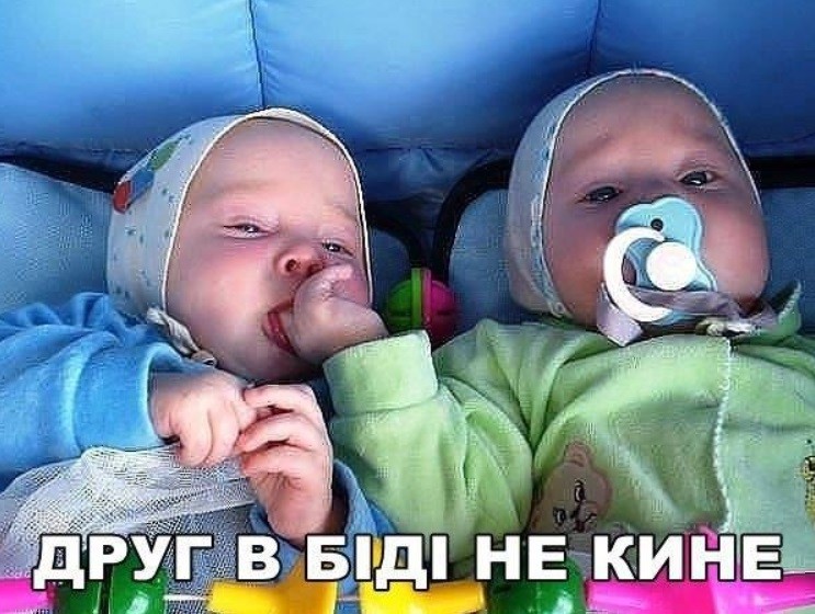 Прикольные картинки