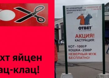 Заманчивая акция: петербургская ветклиника предложила бесплатно кастрировать мужей-изменников (2 фото)