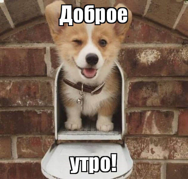 Доброе утро картинки красивые необычные нежные Доброе утро картинки красивые необычные нежные