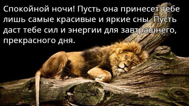Спокойной ночи картинки красивые и необычные (30 штук) Спокойной ночи картинки красивые и необычные (30 штук)