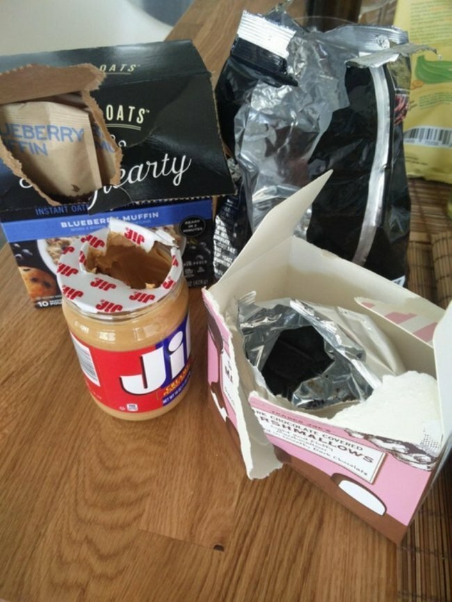 Убил бы! 30 людей, которые осознали, что живут с монстром (31 фото) Убил бы! 30 людей, которые осознали, что живут с монстром (31 фото)