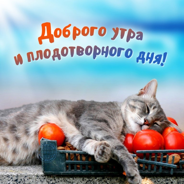 Картинки пожелания с добрым утром и хорошего дня (30 штук) Картинки пожелания с добрым утром и хорошего дня (30 штук)