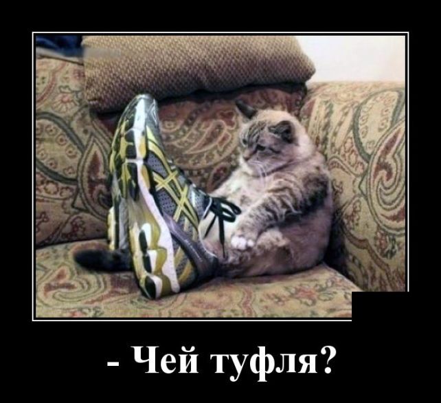 Новые демотиваторы 11 мая 2019 (22 фото)