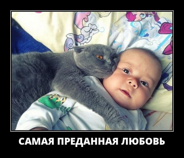 Классные демотиваторы мая (30 демок)