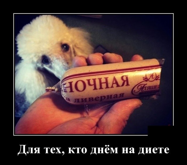 Свежие демотиваторы мая 2019 (30 демок)