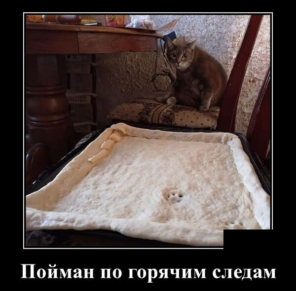 Самые прикольные демки 2019 года (30 демотиваторов)