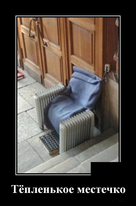 Свежие демотиваторы на праздники Свежие демотиваторы на праздники