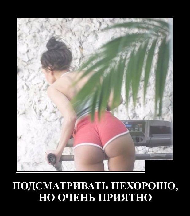 Новые демотиваторы 11 мая 2019 (22 фото)