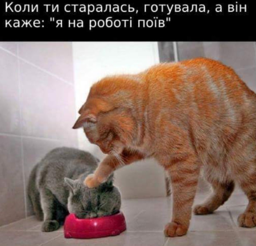 Прикольные картинки