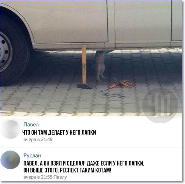 Смешные фото