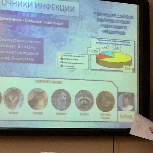 Подборка крутых и смешных слайдов со студенческих презентаций (26 фото) Подборка крутых и смешных слайдов со студенческих презентаций (26 фото)