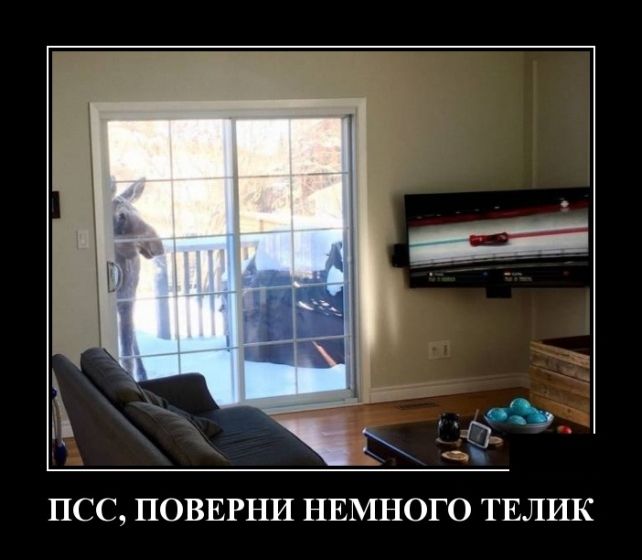 Новые демотиваторы 11 мая 2019 (22 фото)