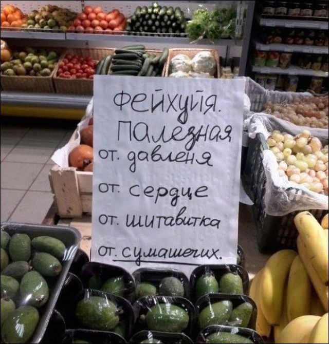 Прикольные надписи и объявления (16 фото)