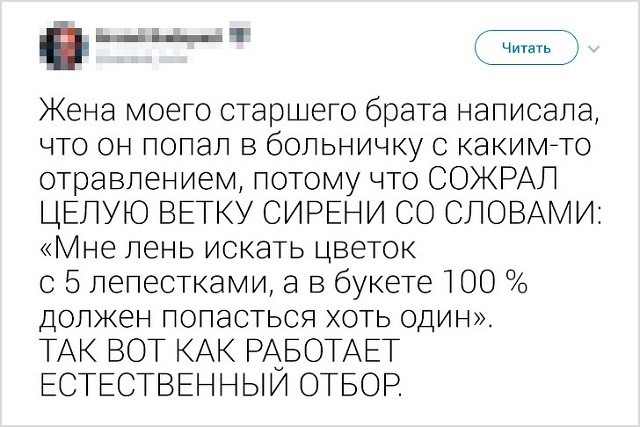 "Не сделал ничего, значит не сделал плохо!". Народно-интернетные изречения о лени (20 скриншотов)