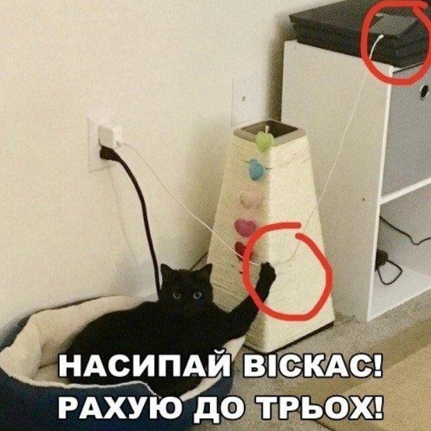 Прикольные картинки