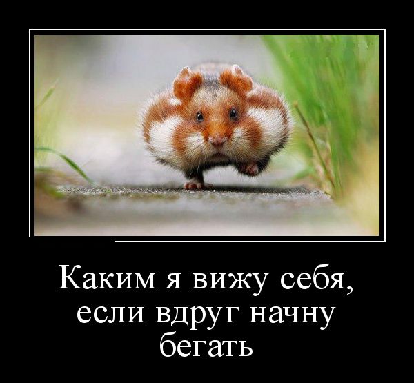 Прикольные картинки демотиваторы Прикольные картинки демотиваторы